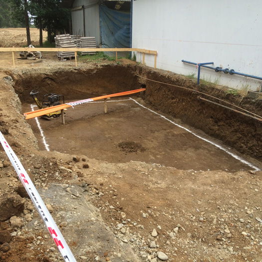 Foto proyecto Esbbio