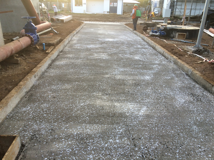 Foto proyecto Esbbio